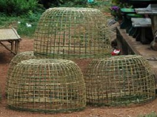 This is picture 9999